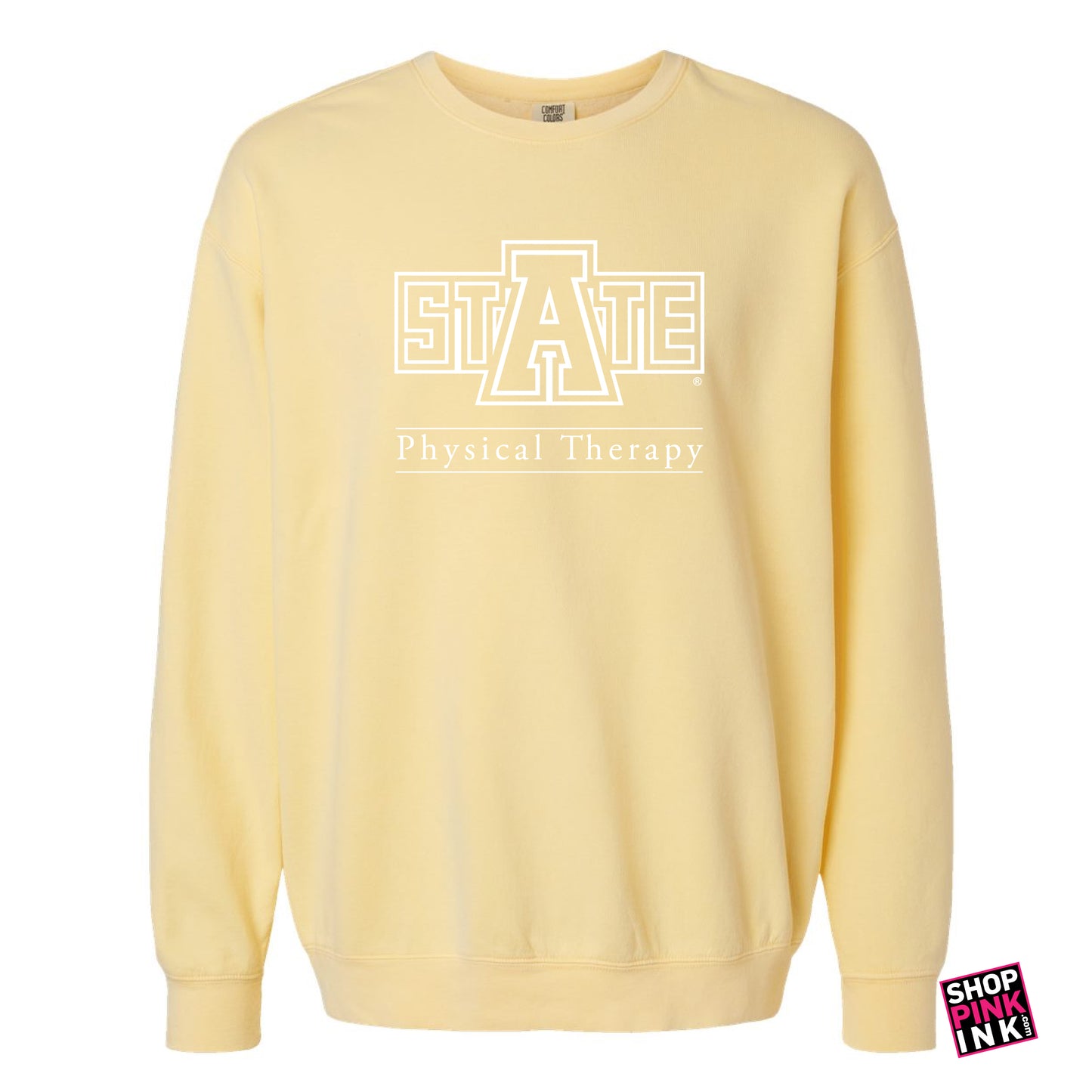 ASTATE - Physical Therapy - Stacked - Crewneck - 24794